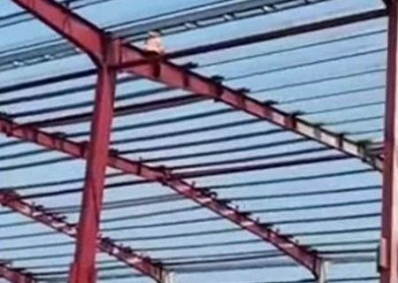 Instalación de estructuras de acero